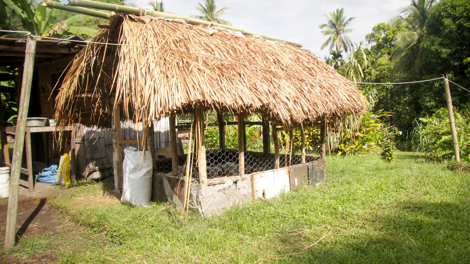 Chicken shed in PNG