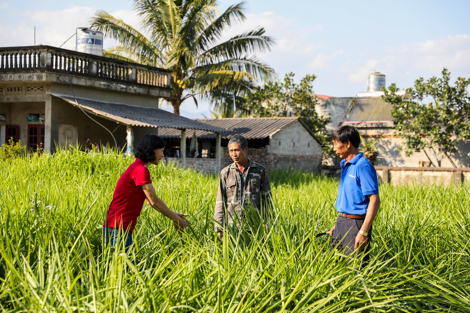 Researcher talking to farmers in Vietnam 