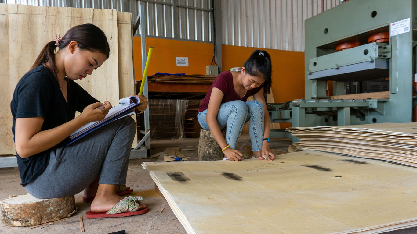 Lao wood processing plant