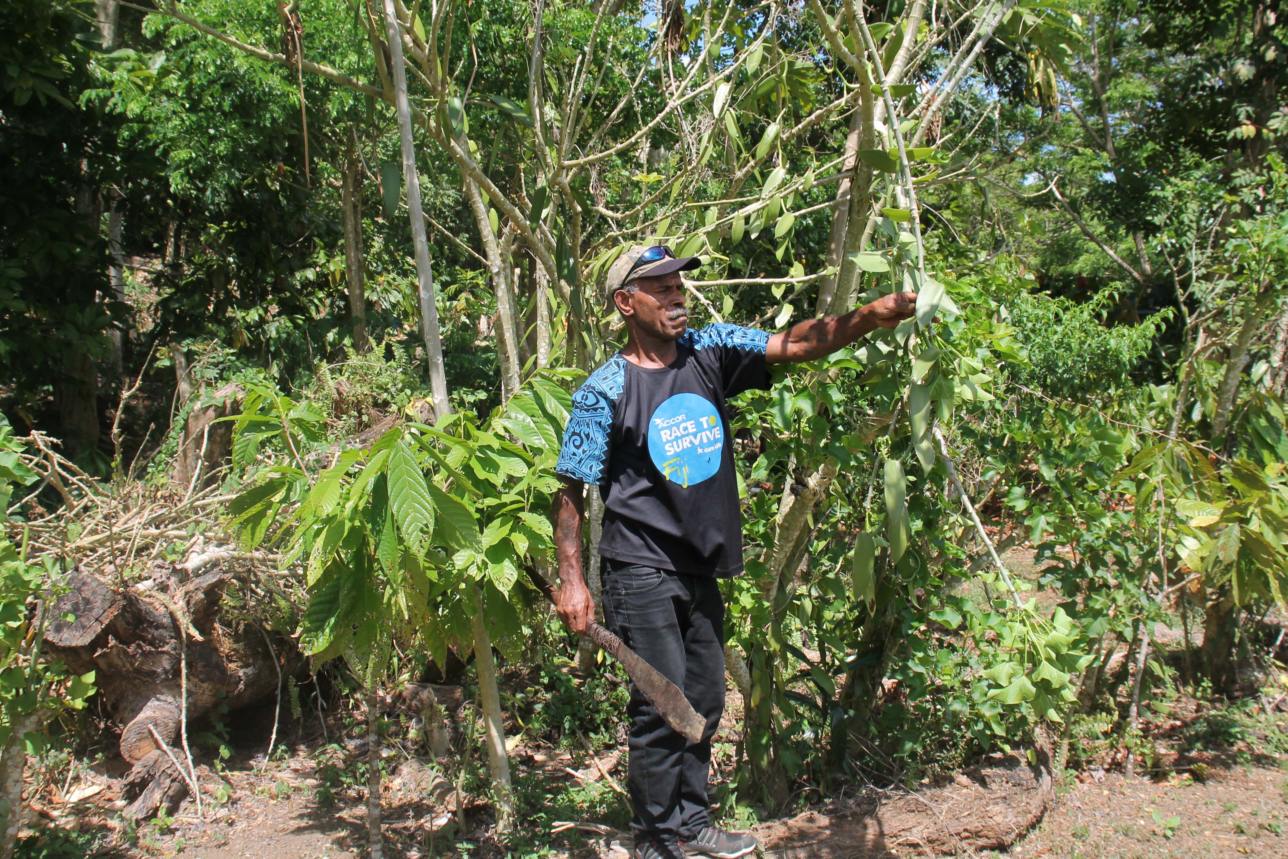 Man holding tree branch and machete