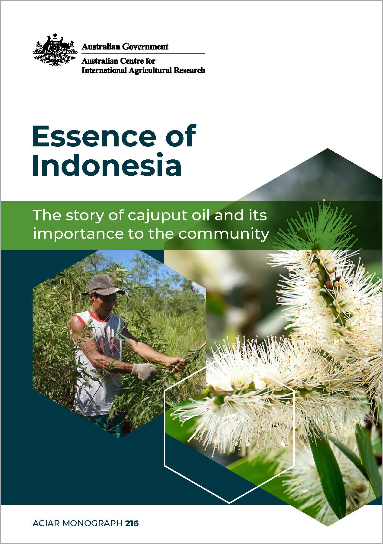 Image of book cover, showing title and a montage of 2 photos and graphic elements