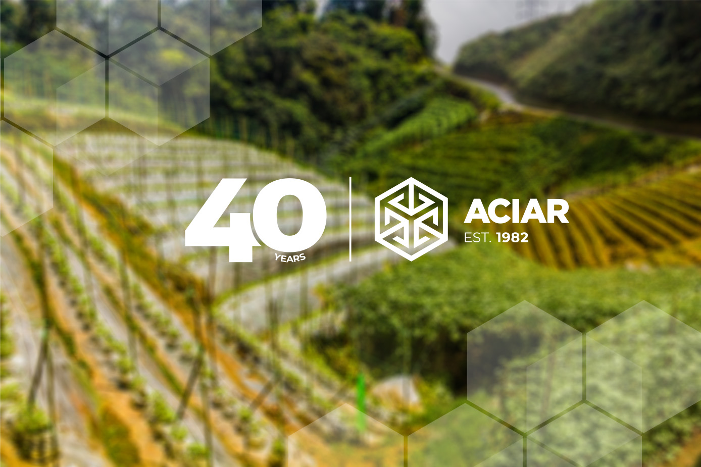 40 years feature