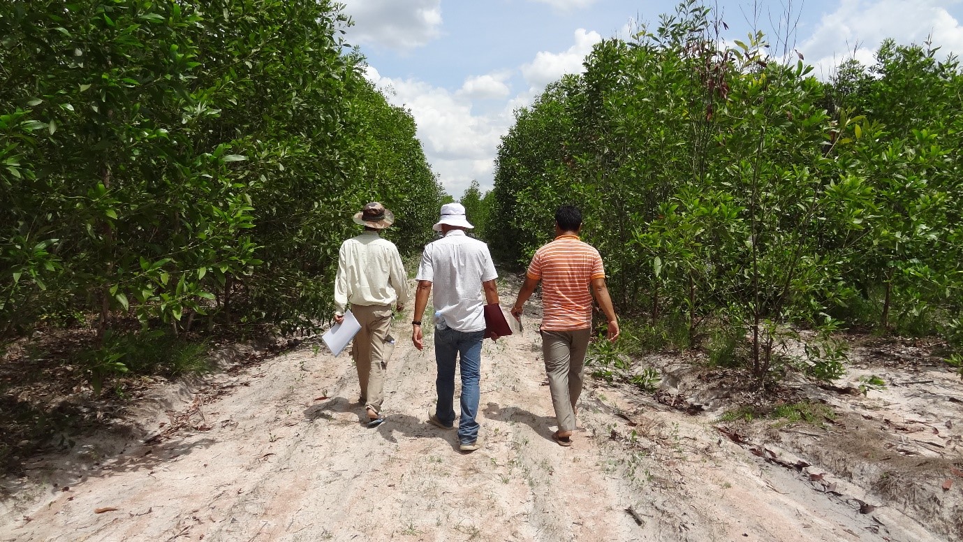 Forestry Administration staff conducting surveillance in an Acacia plantation, Kampong Chhnange Province, Cambodia.