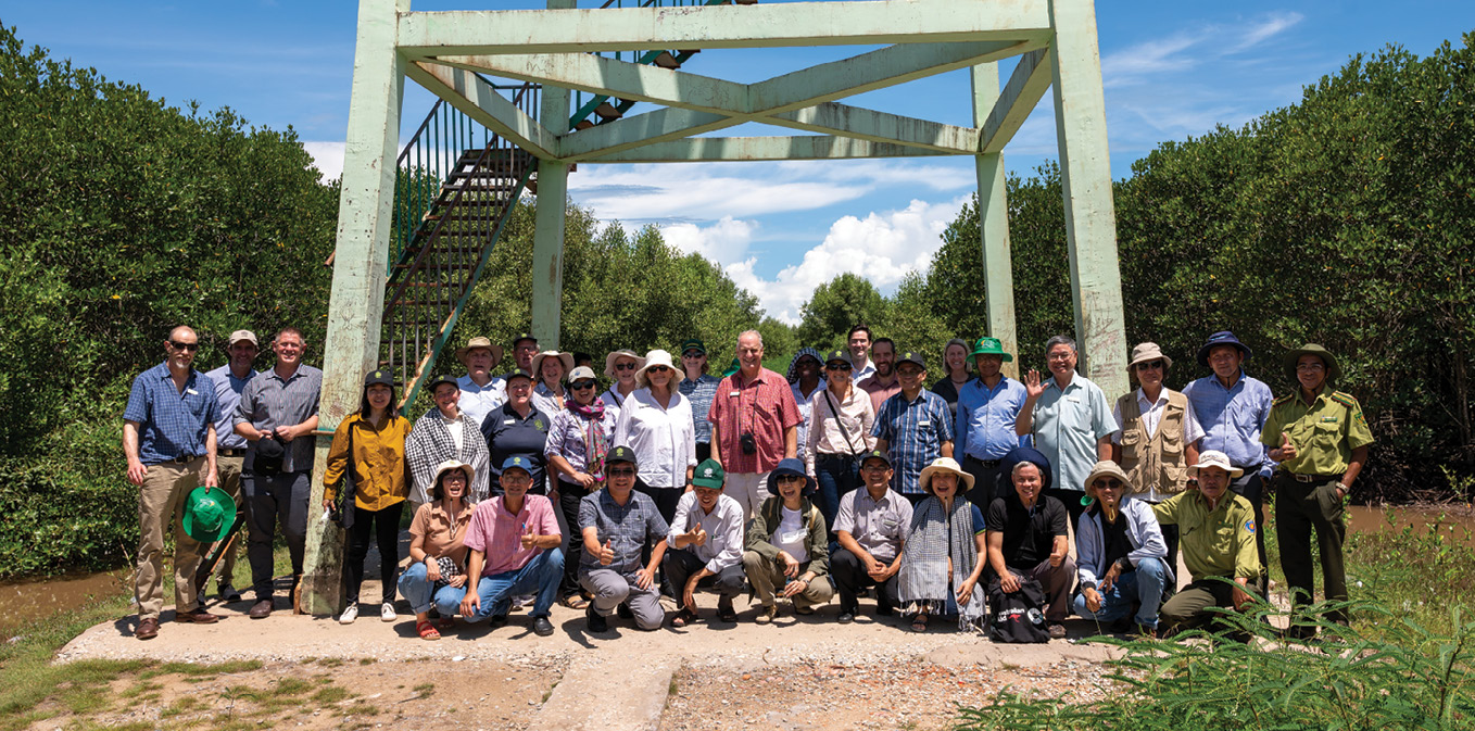 Group of people in a mangrove forest