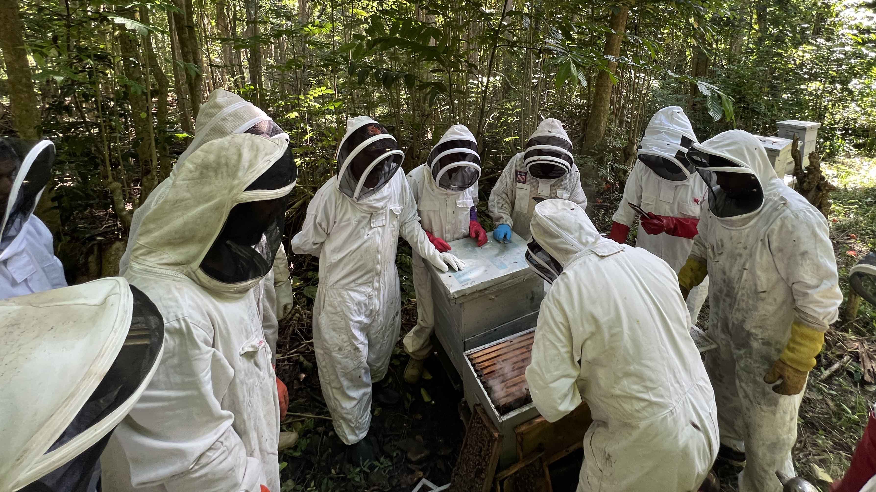 Beekeeping training