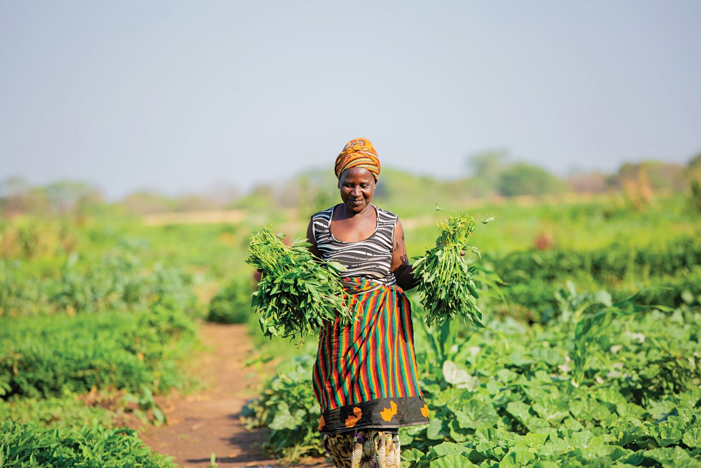 Woman carrying vegetables in field