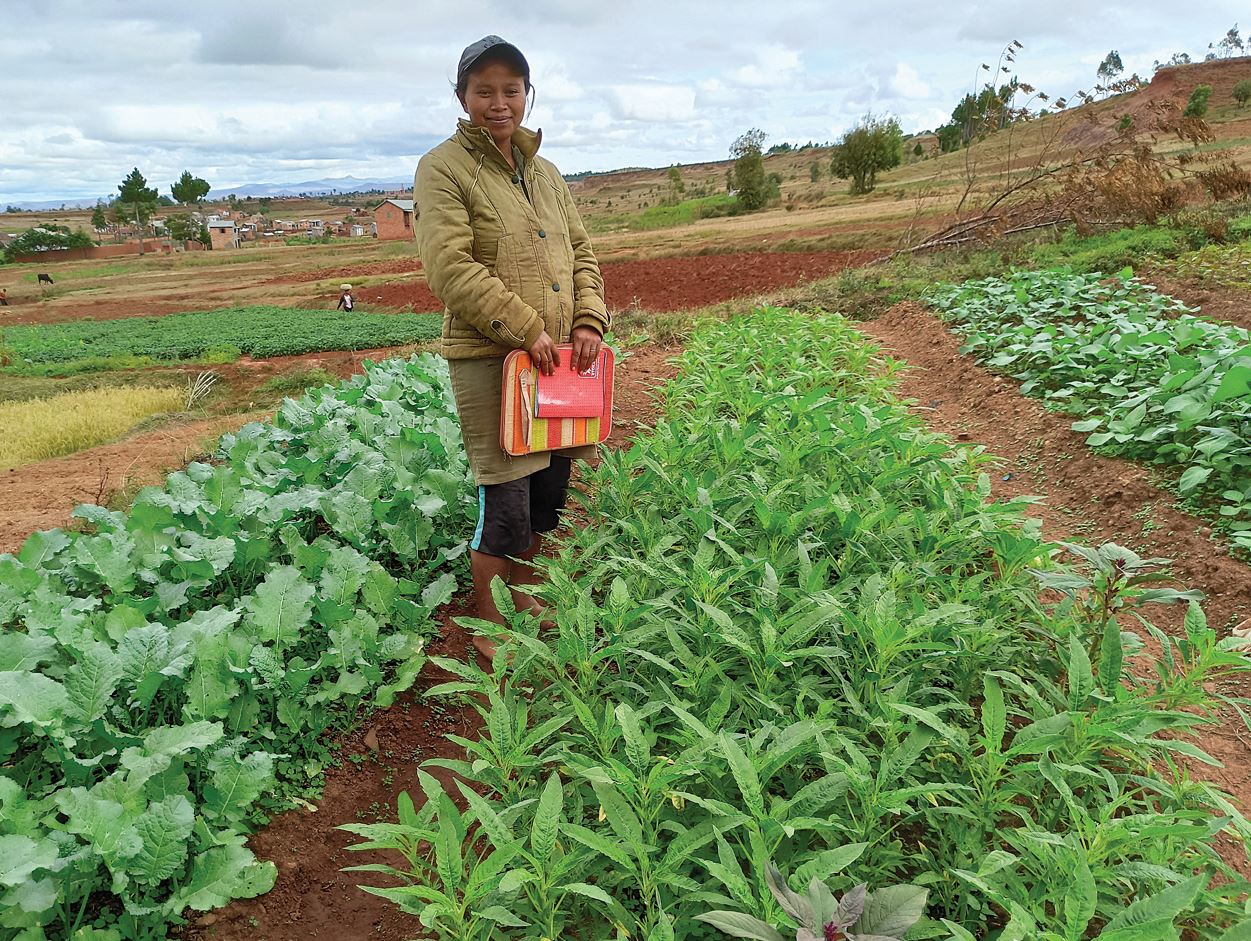 Woman standing in crop field