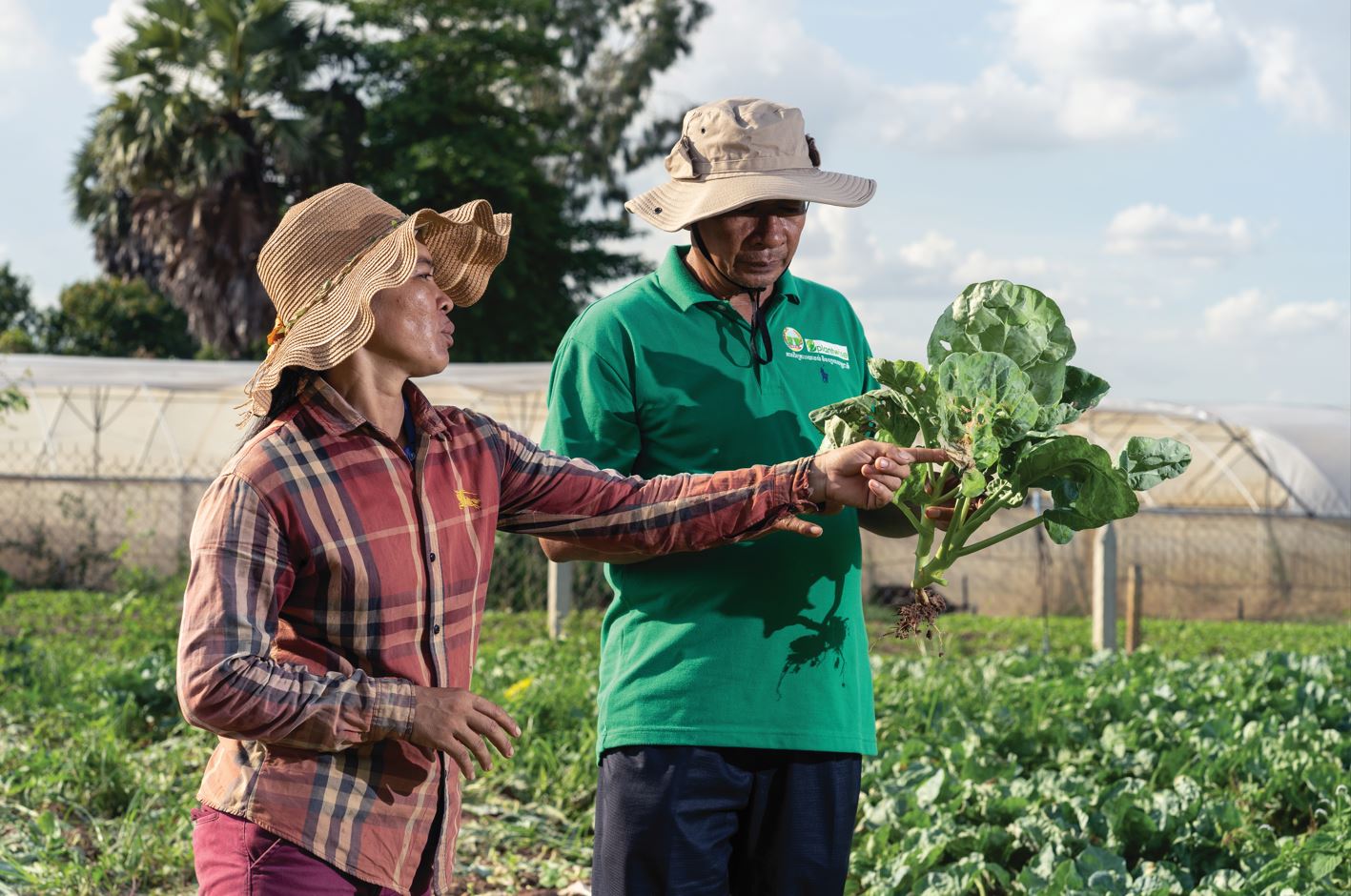 Man and a woman looking at a plant from a crop