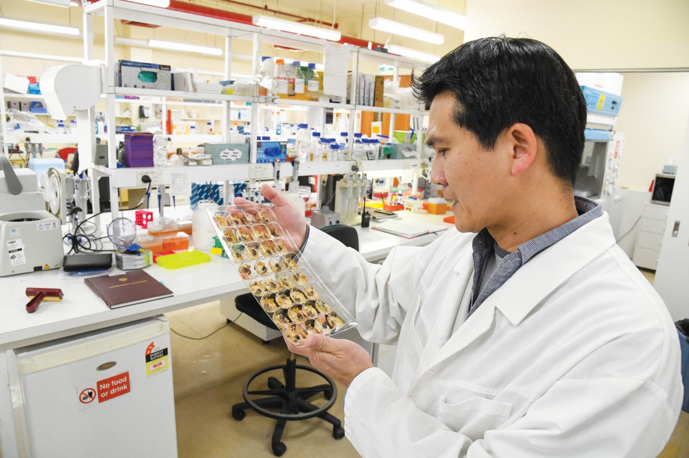 man in a lab examining samples