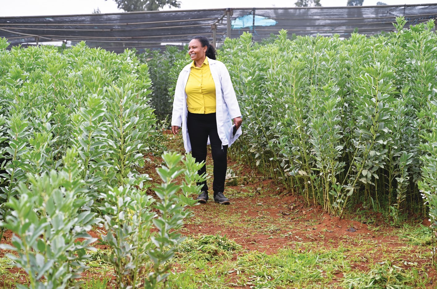 woman standing amongst crops