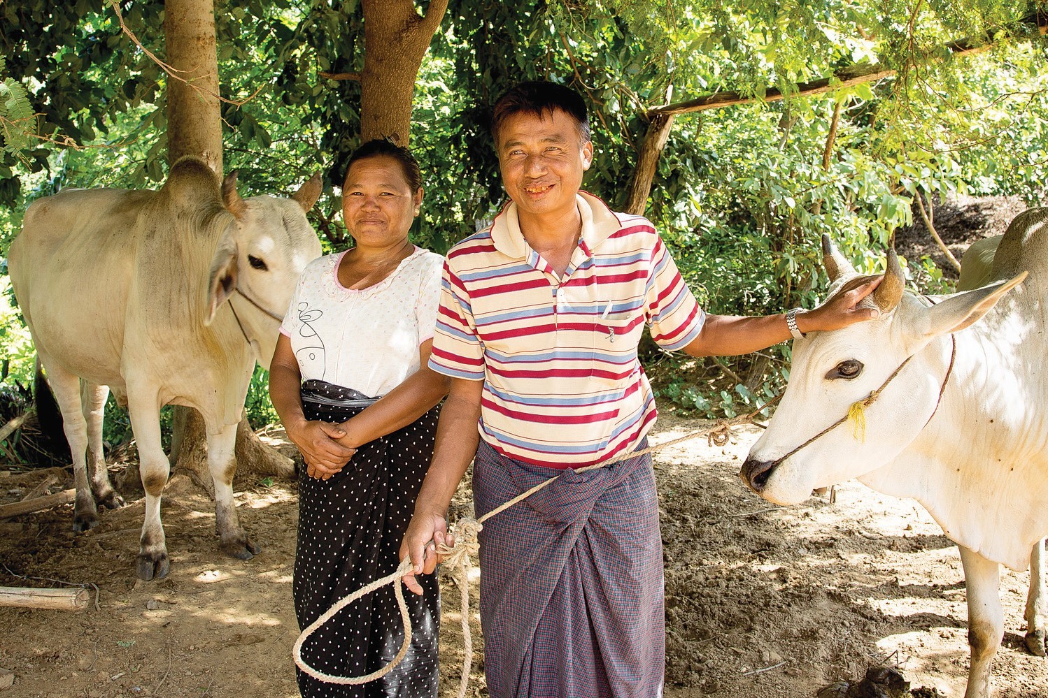 man and woman standing with cows