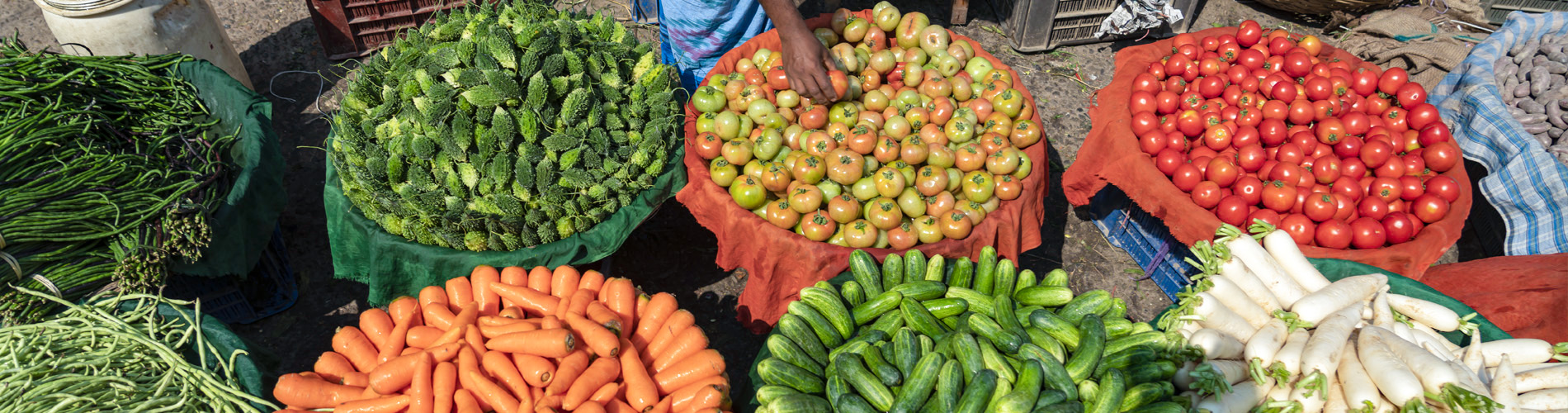 close up of various piles of vegetables