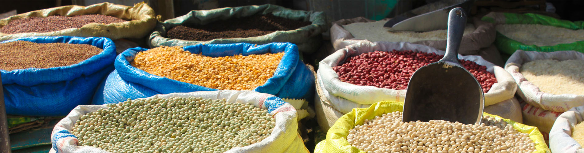 beans and grains of various types in bags