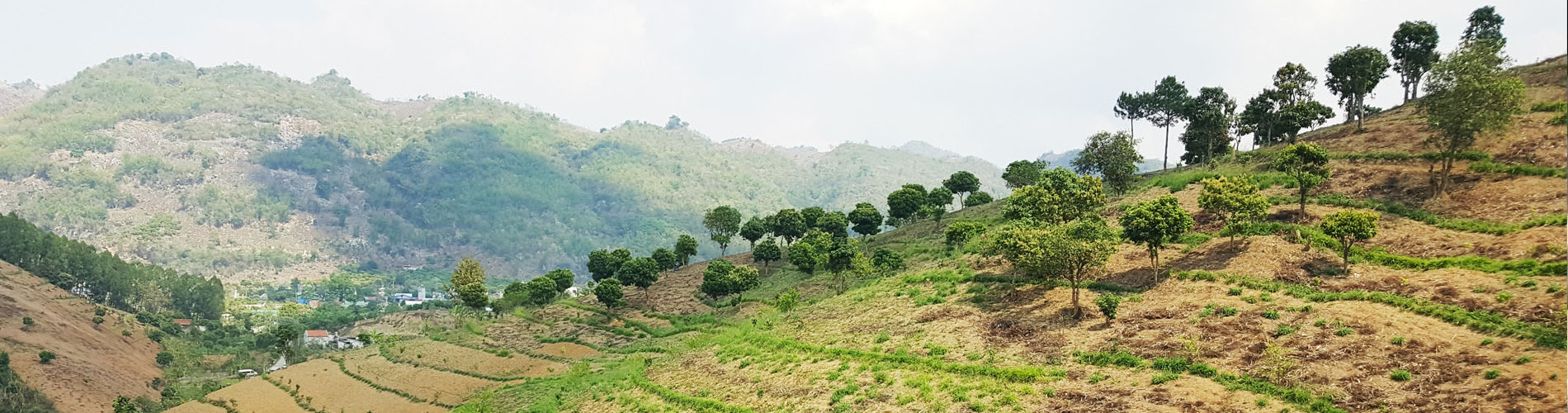 outdoors, mountain, trees, sky