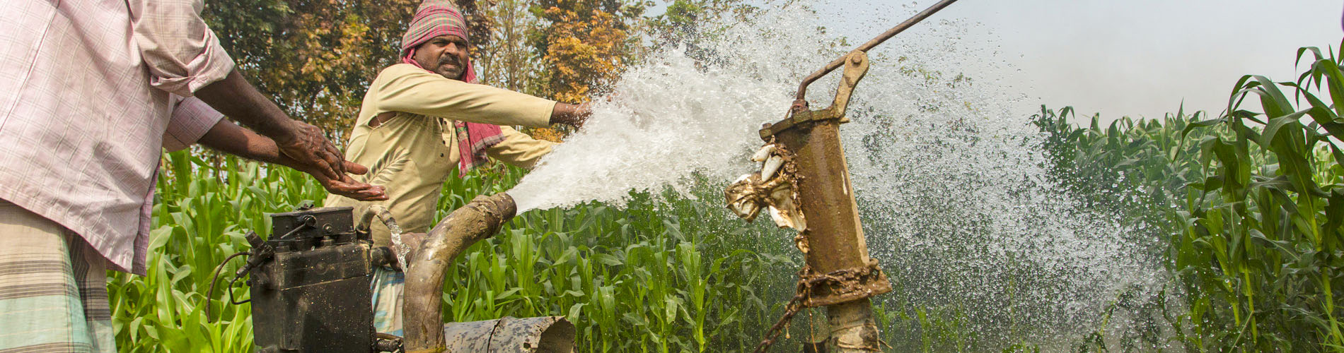 a man, water flowing out of a high-pressure pump outdoors, greenery