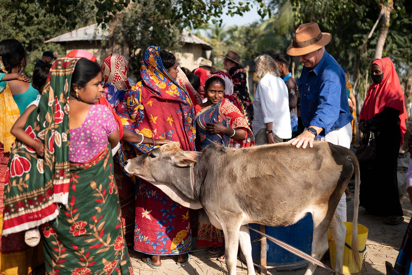 A large group of women in South Asian dress and a man in a blue shirt and hat surround a small cow.