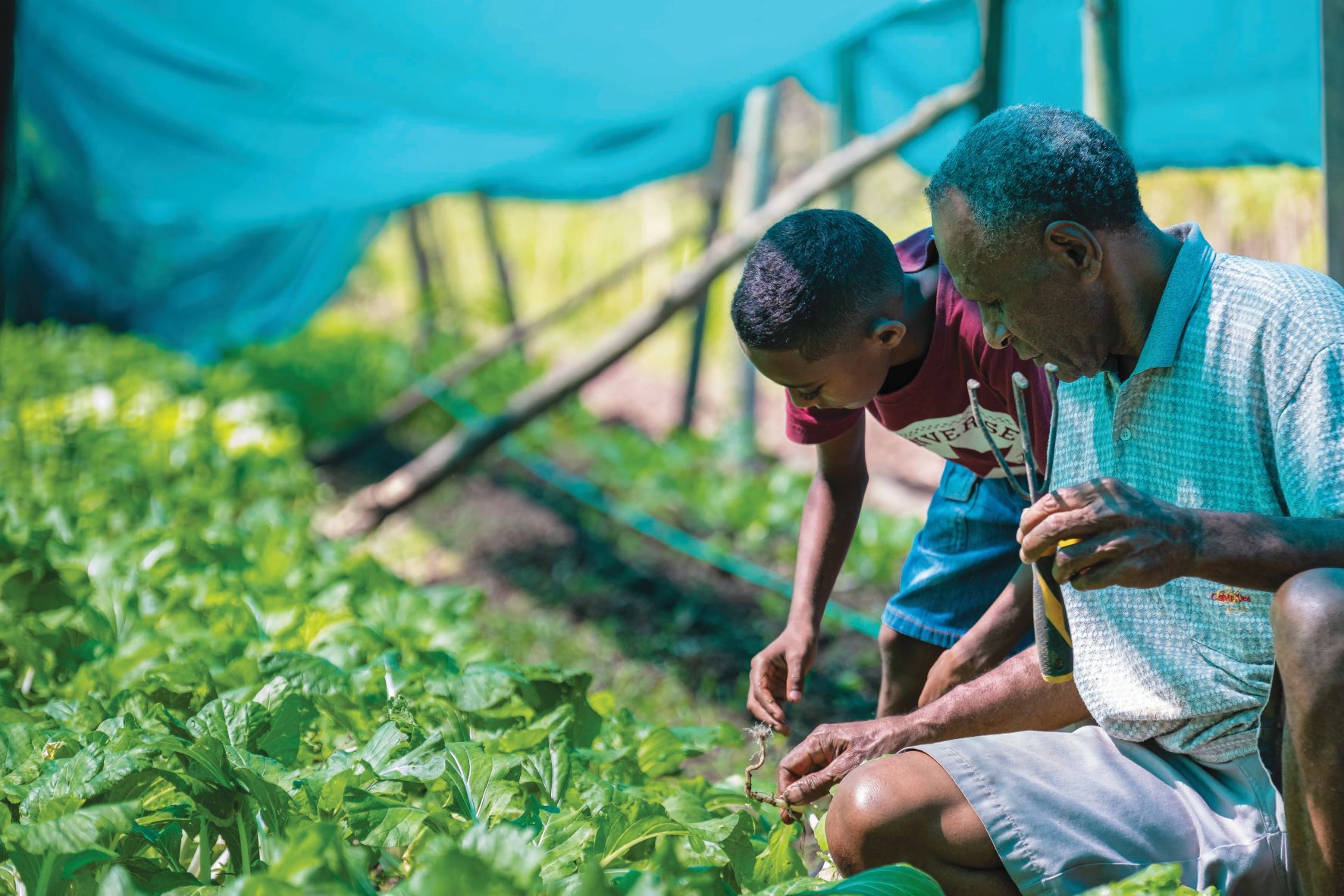 Mr Joeli Vatavehi with his grandson with green plants