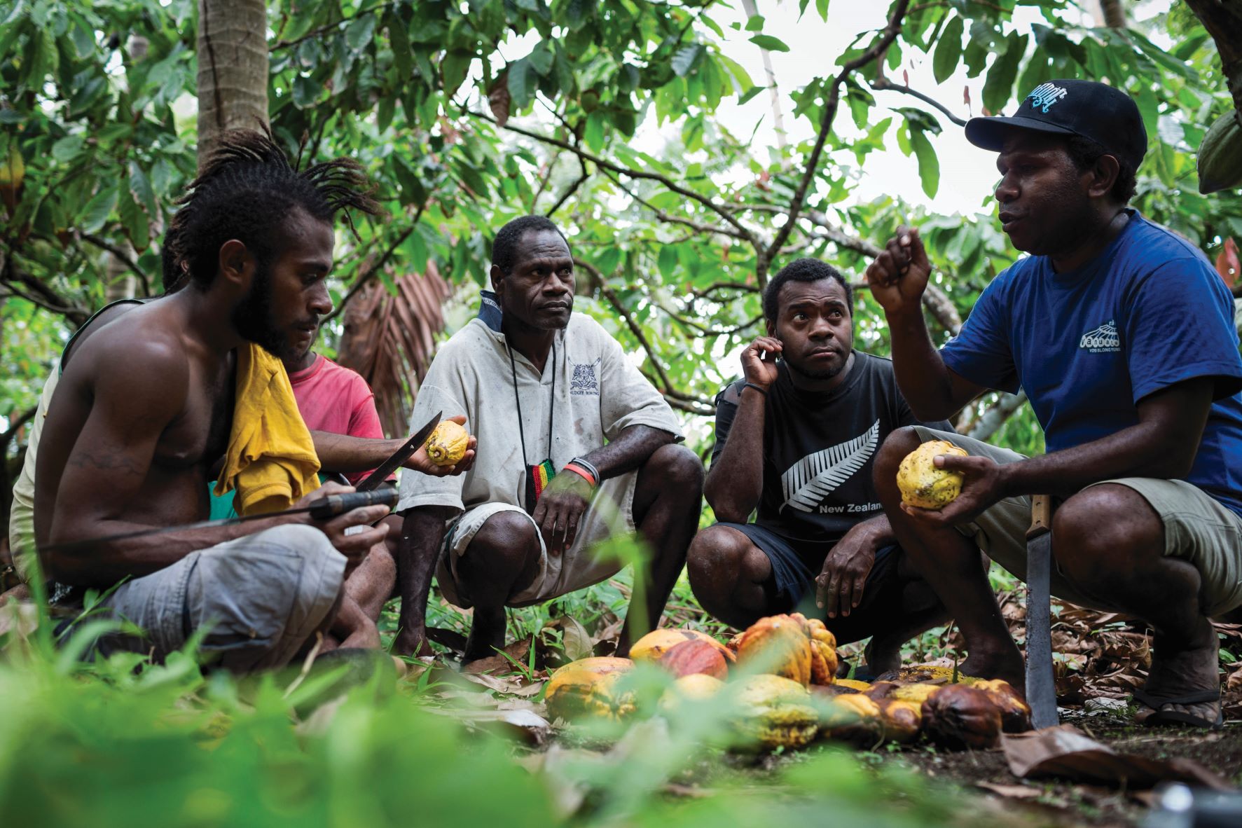 men crouching and holding cocoa pods