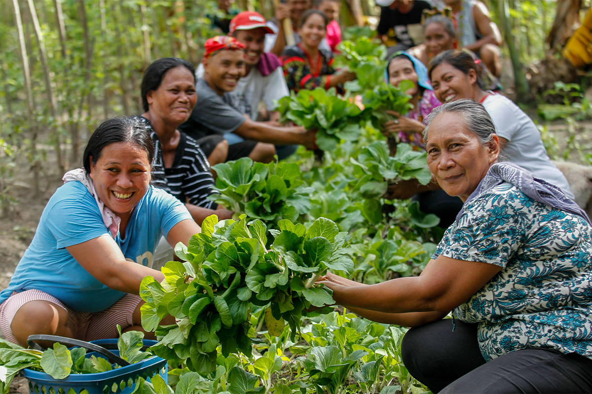 A group of farmers harvesting lettuce and smiling