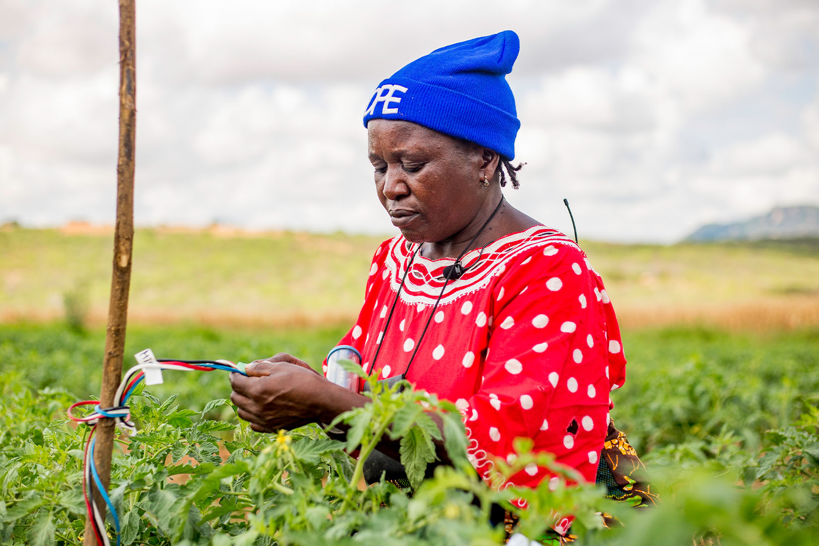 A woman in a red dress and blue beanie setting up a device in a field.