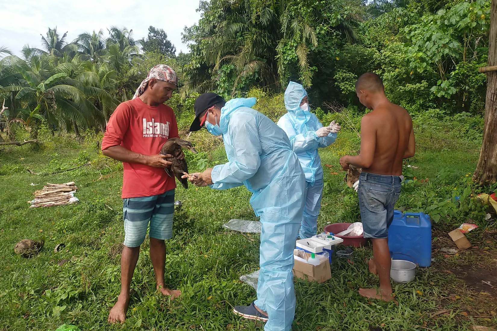 Four people, two in PPE, standing in a field. Two of the people are holding chickens while those in PPE examine them.