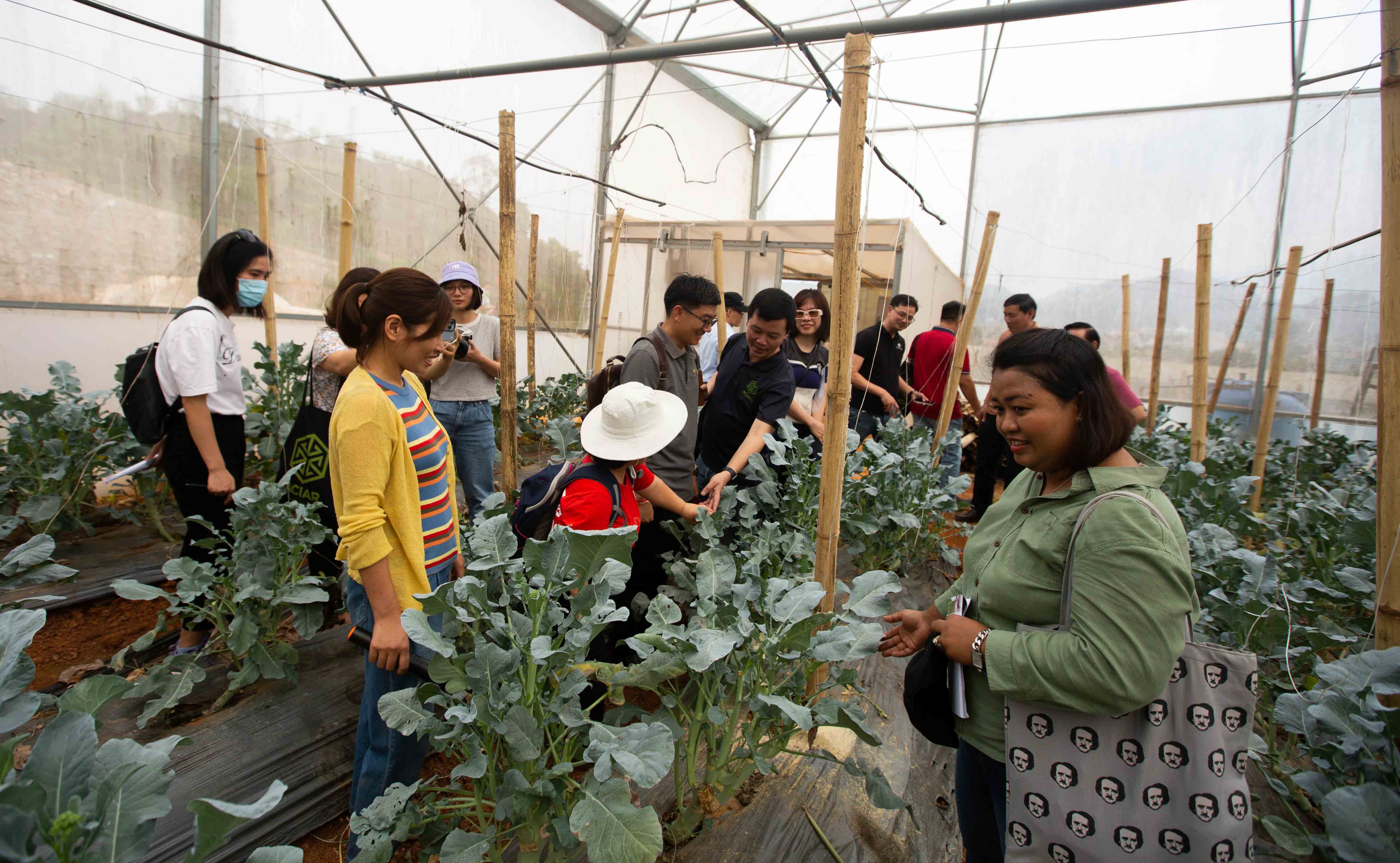 ACIAR Alumni in Vietnam inspect a farm in the northwest of the country