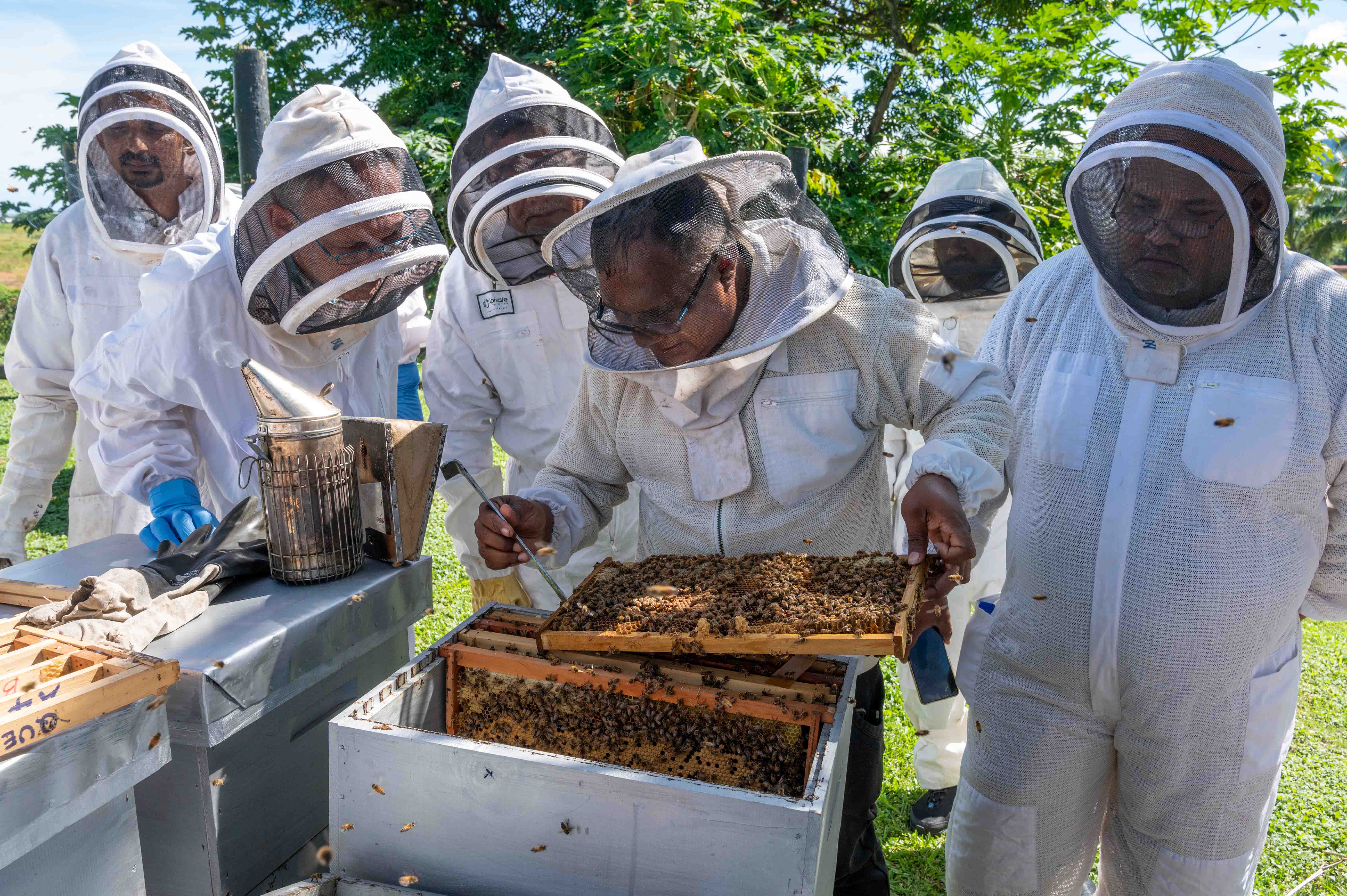 Beekeepers inspecting beehive at the Pacific Islands Beekeeping Congress in 2023