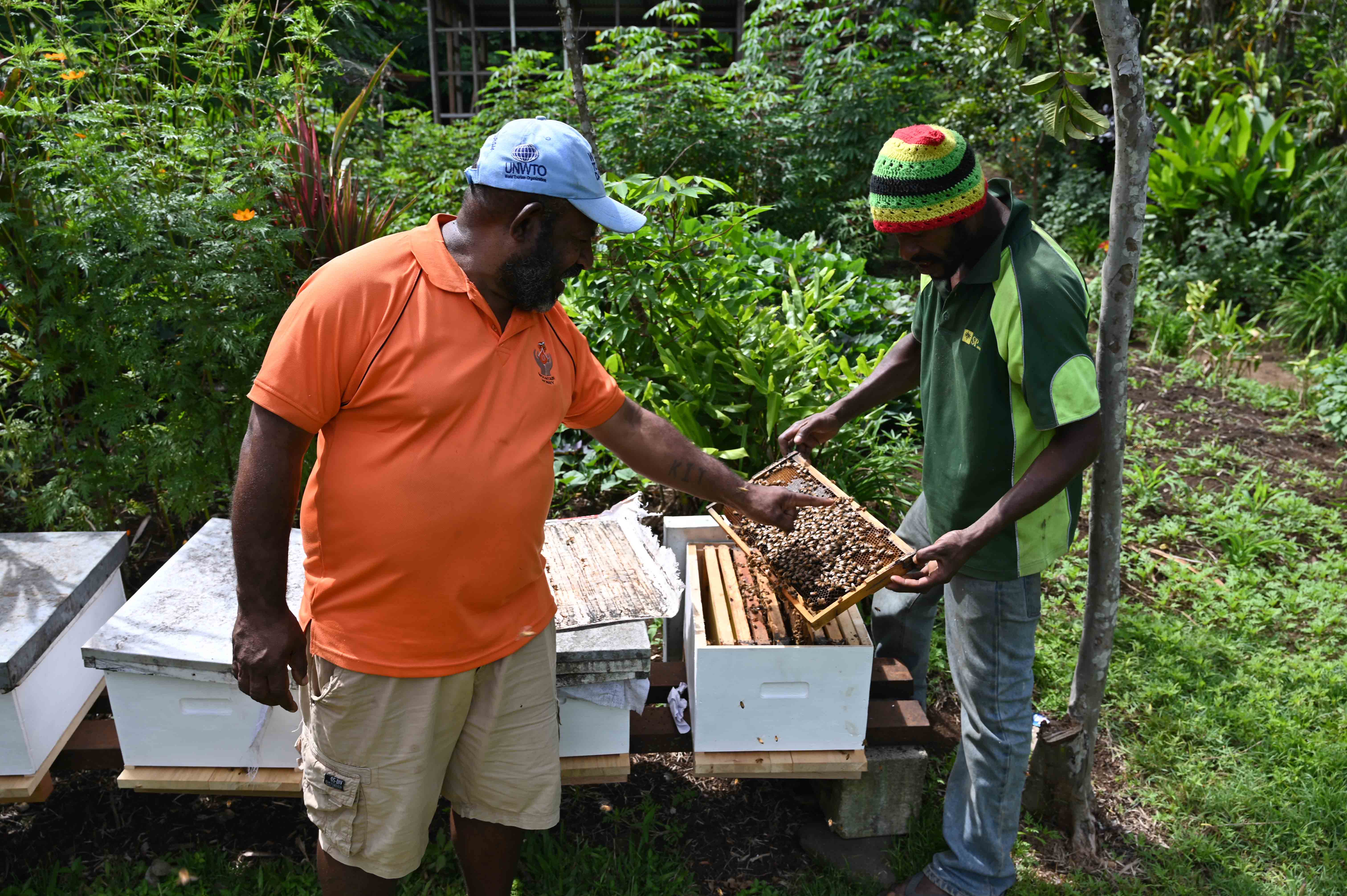 Beekeepers pointing out queen bee