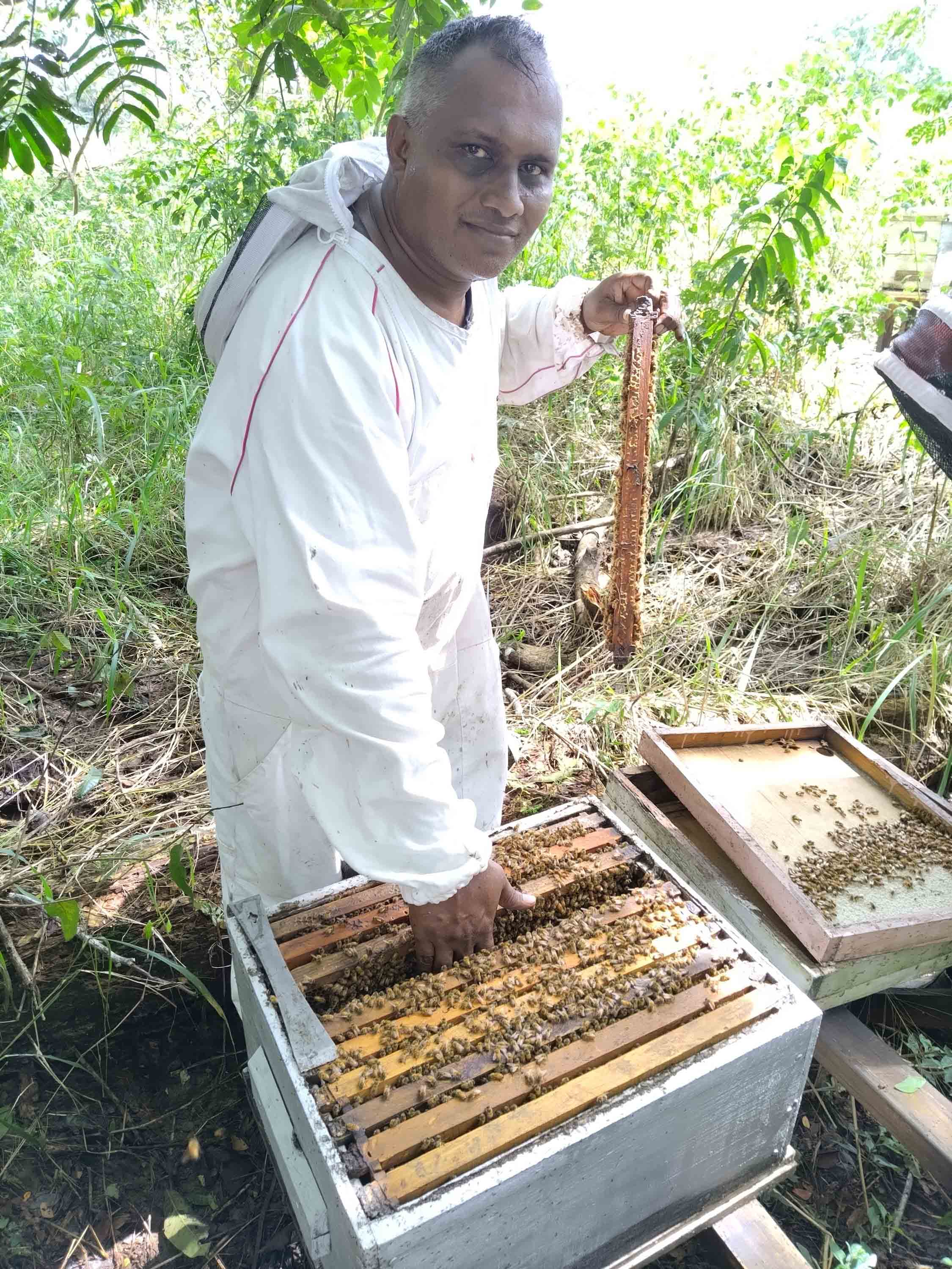 Beekeeper with beehive