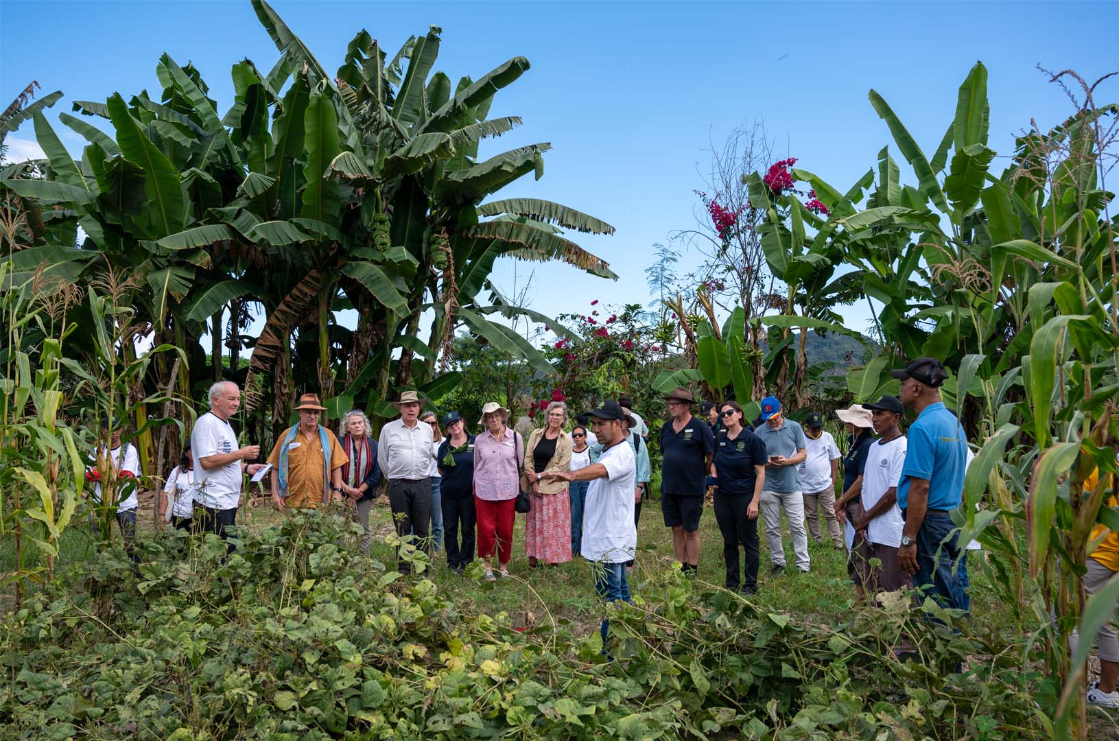 Commission in Timor-Leste