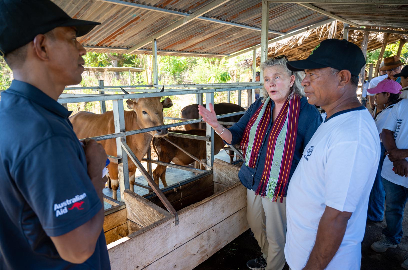 Chair of the Commission, Fiona Simson (middle) speaks with livestock farmers during a field visit to the Bobonaro District of Timor-Leste. The farmers benefited from ACIAR-funded research to develop smallholder cattle enterprises through commercially-orientated production.