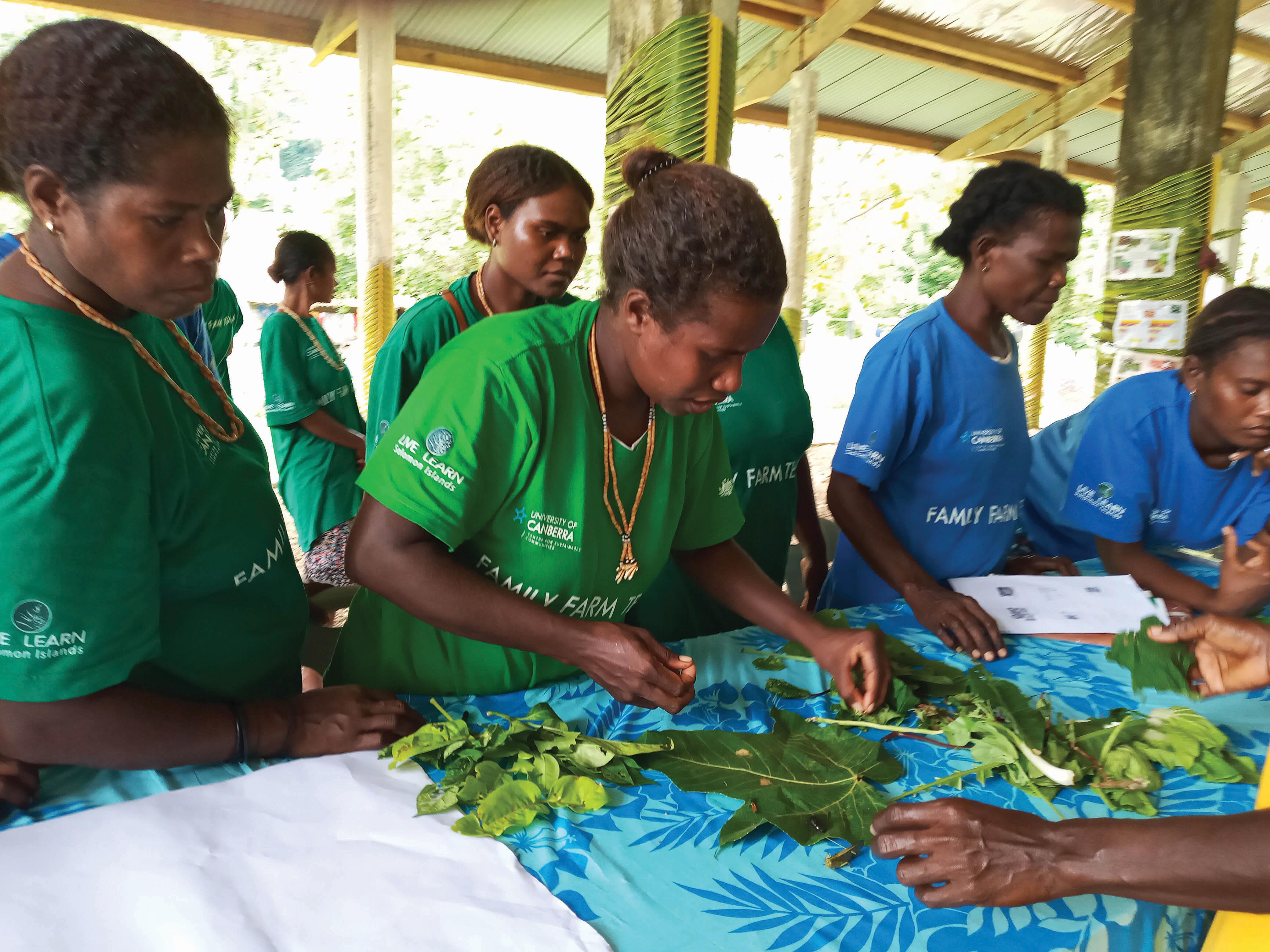 Students in green and blue shirts looking at plants