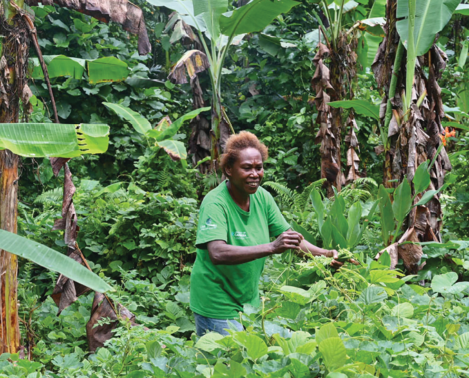 Woman in a green shirt harvesting produce with banana tree in background