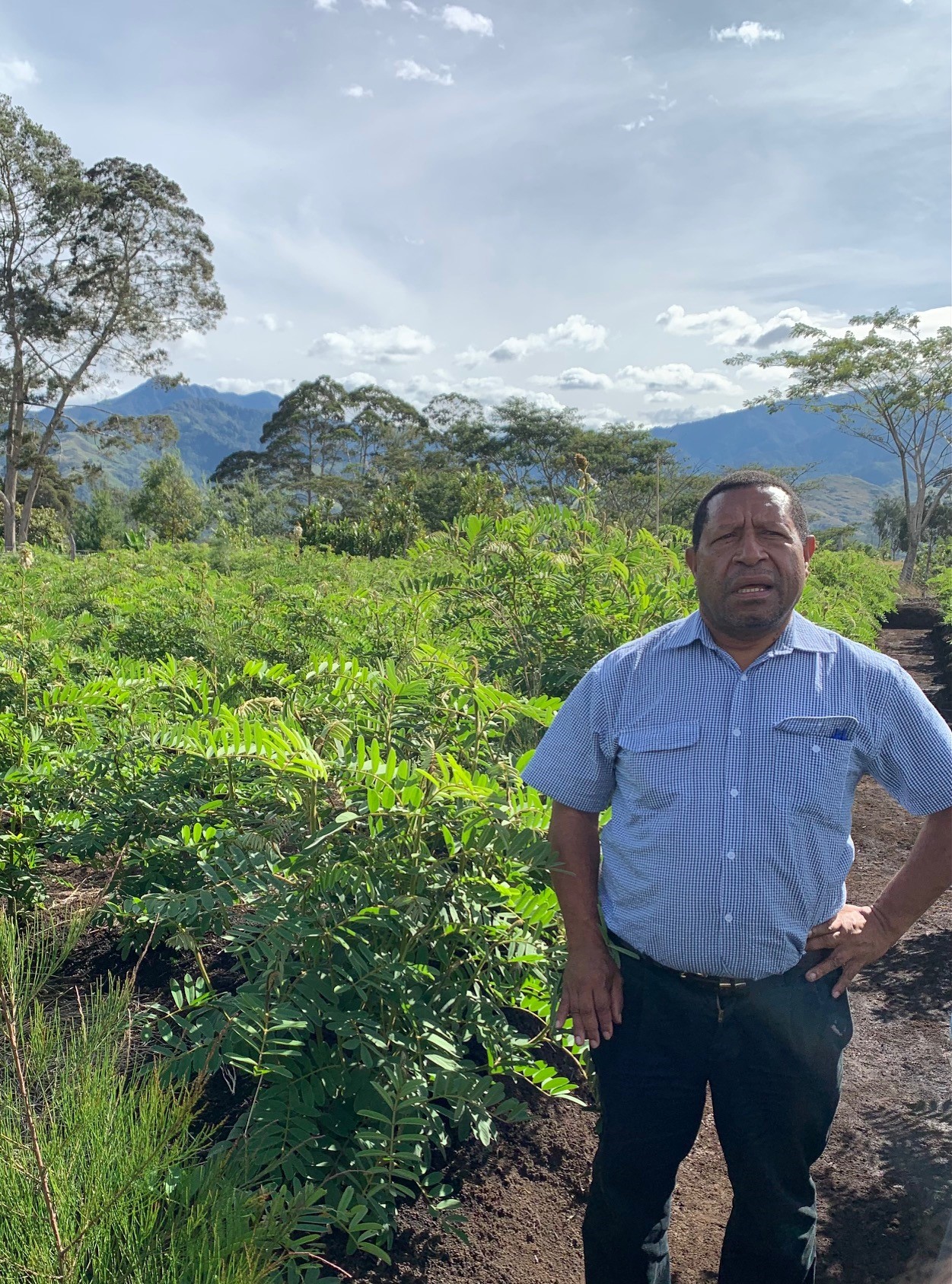 Research in coffee field