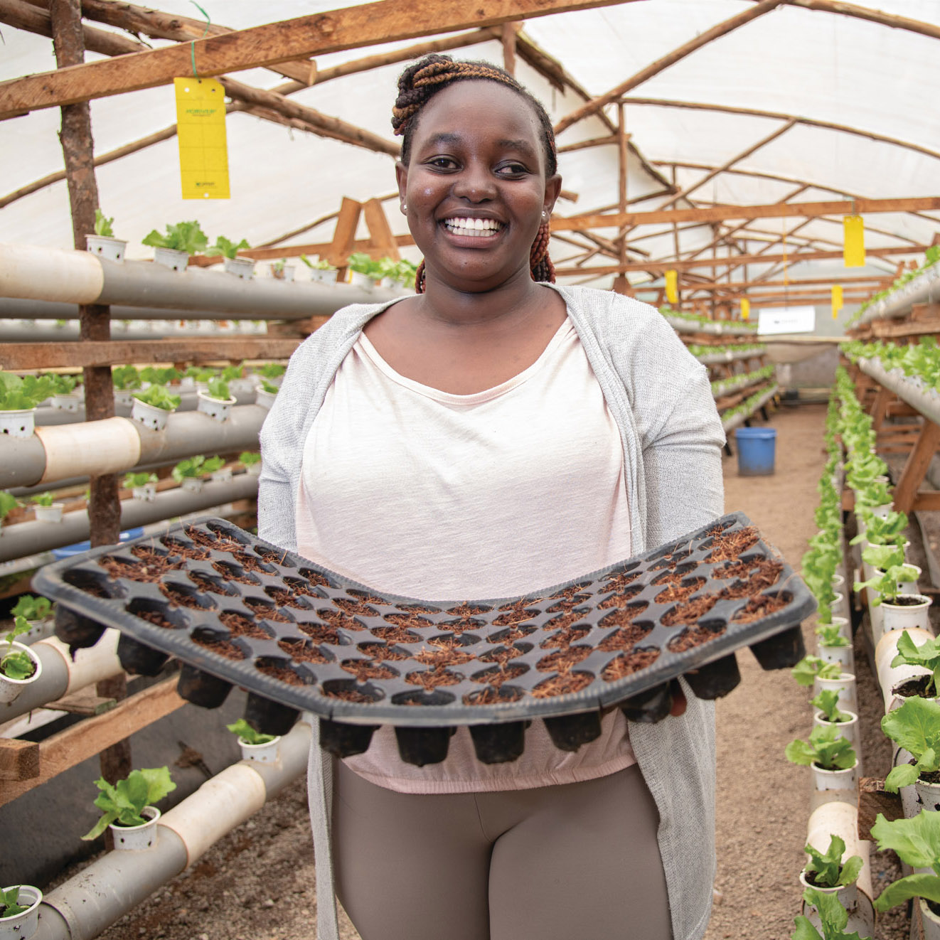 Woman in greenhouse displaying seedlings