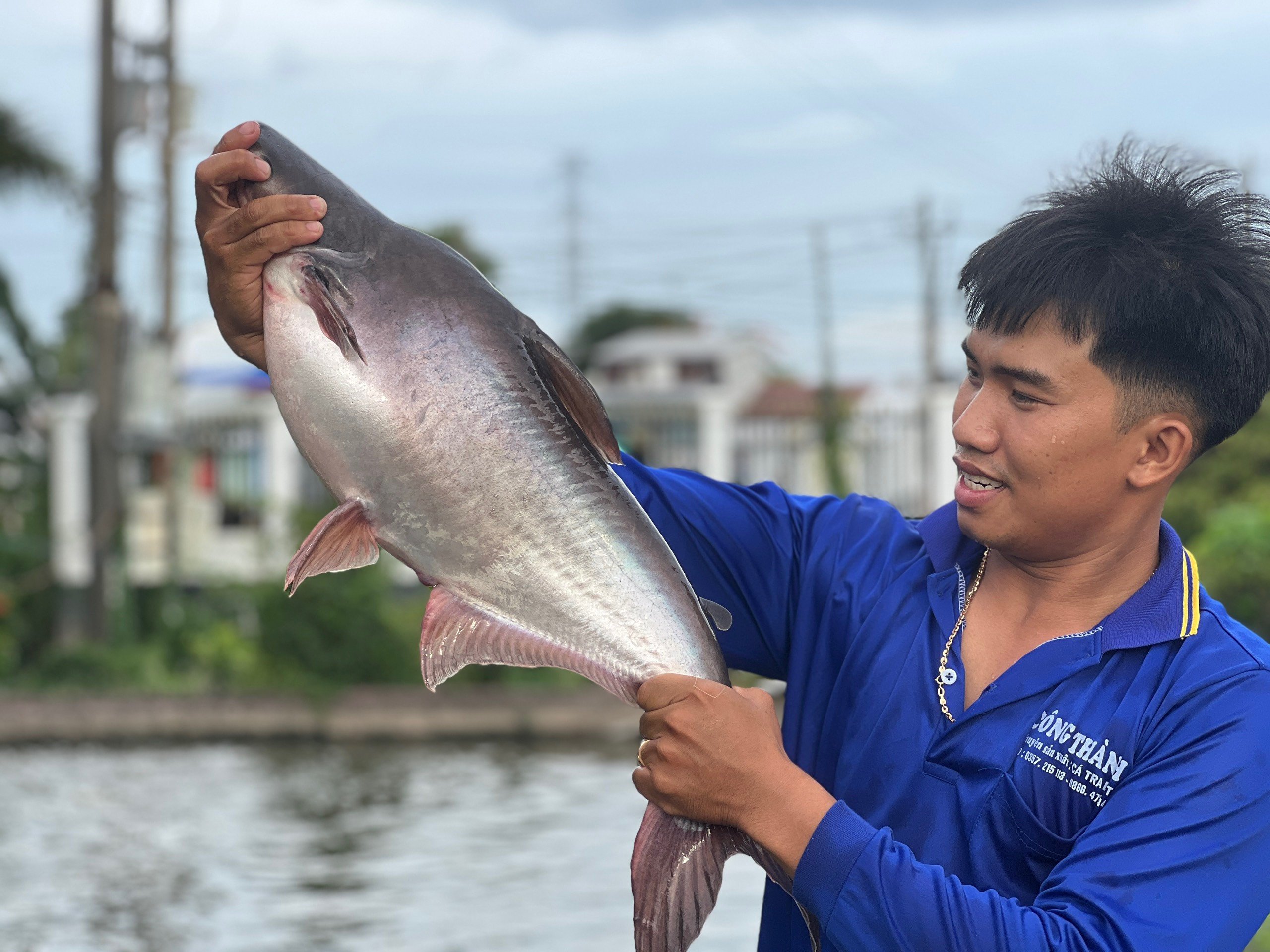 mekong cat fish 
