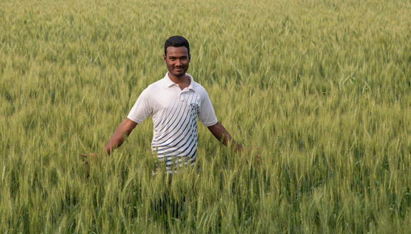 A man wearing a light-coloured polo shirt stands with his arms wide in a waist-high wheat crop. 