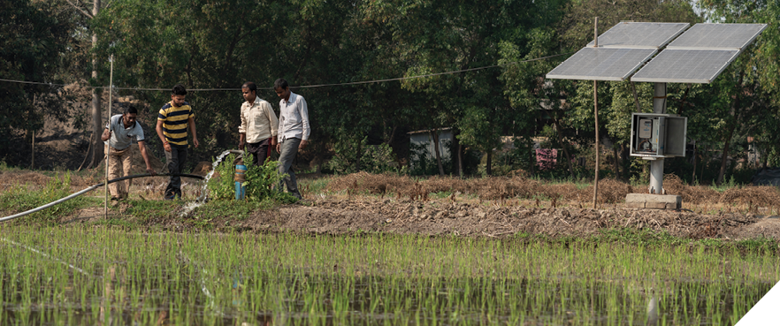 Four men stand by a rice paddy. They are looking at pipework and a pump. To the right is an array of solar panels. 