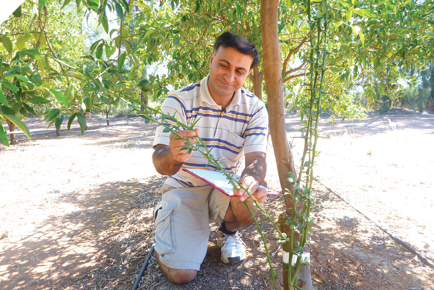 A man is kneeling next to a tree. He is holding a notebook and is also holding small branches of the tree growing up from the ground. 