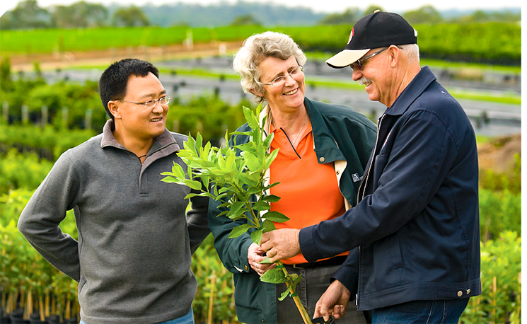 A woman wearing an orange shirt is standing between two men. One of the men is holding a small tree in his hand. They are smiling and talking. 