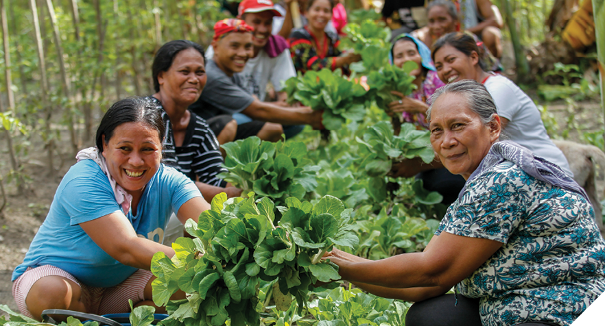 A group of men and women kneeling next to a garden bed with lush green produce growing in it. Some of them are pulling the produce out of the ground. They are all brightly dressed and smiling.