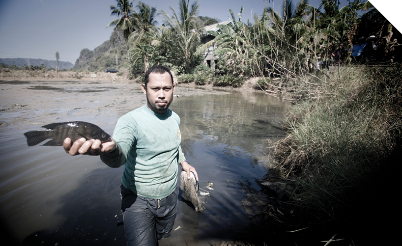 A man standing in a pond holding a fish, with palm trees in the background. 