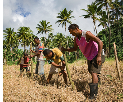 Four people standing in a field with tools. They are putting a post on the ground. There are palm trees in the background.