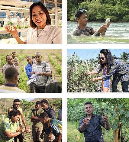 A collage of six photos shows  (left top) A smiling woman in a white lab coat stand in front of a shelf in a laboratory holding up a flask with a green plant in it.   (right top) A man standing in a body of water up to his chest holding up a sea cucumber.   (left middle) A group of men stand in front of a field of low-growing plants in rows. One man is holding some pieces of paper and has a bag over his left shoulder.   (right middle) A woman leans over collecting a piece of a plant growing in a field. She 