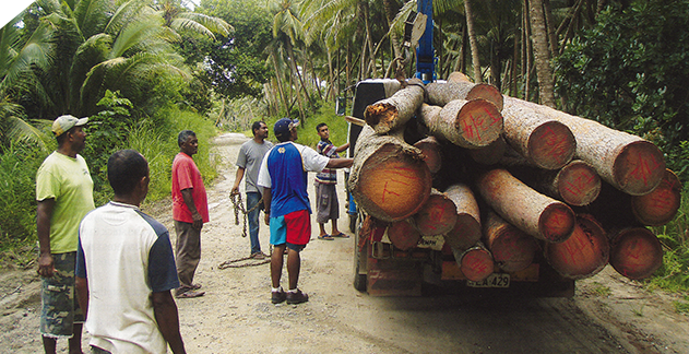 Men walking on a dirt road next to a trailer loaded with about 16 coconut palm stems. 