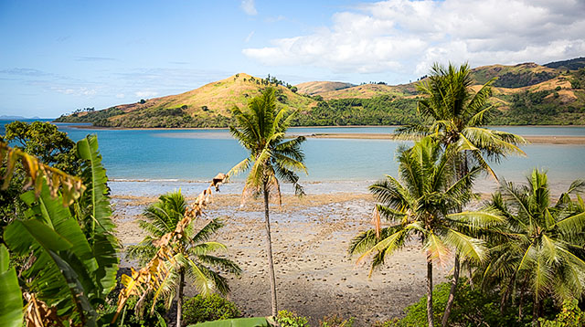 Image shows coconut trees in the foreground, a calm ocean and mountains in the background