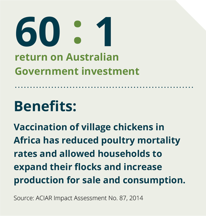 Text reads 60 : 1 return on Australian Government investment Benefits: Vaccination of village chickens in Africa has reduced poultry mortality rates and allowed households to expand their flocks and increase production for sale and consumption. Source: ACIAR Impact Assessment No. 87, 2014