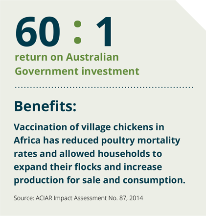 Text reads 60 : 1 return on Australian Government investment Benefits: Vaccination of village chickens in Africa has reduced poultry mortality rates and allowed households to expand their flocks and increase production for sale and consumption. Source: ACIAR Impact Assessment No. 87, 2014