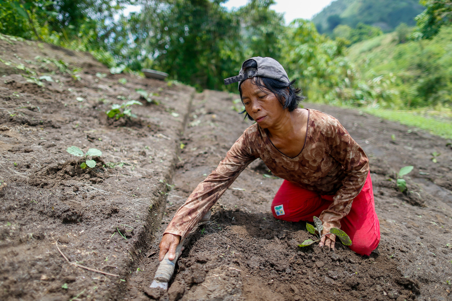 A farmer in the Philippines planting seedlings 