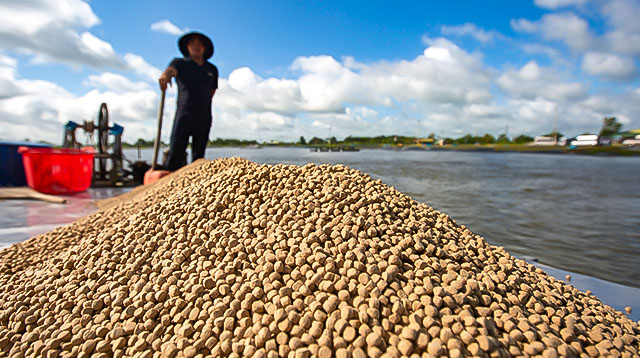 Catfish factory in Vietnam
